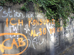 �Je consomme donc je suis�